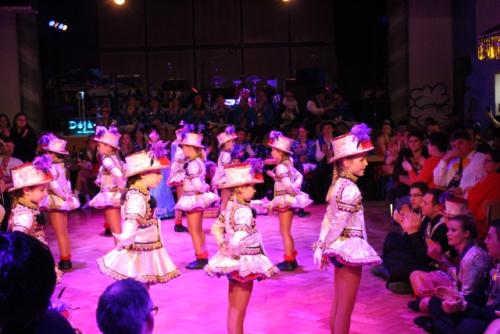 hofballl2015 026